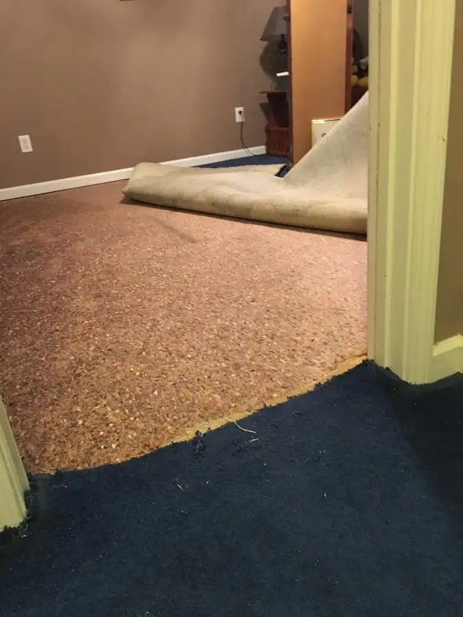 Carpet pad removal revealing water damage during Water Mitigation Services in Wall