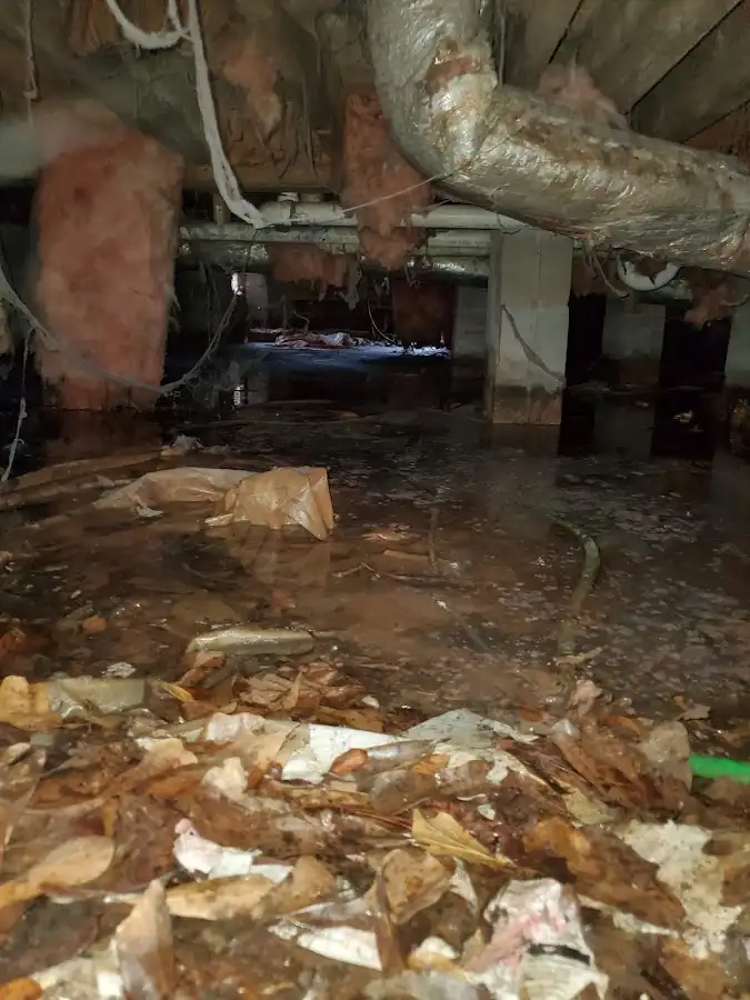 Crawl space flood assessment for Leak Detection & Repair in Wall