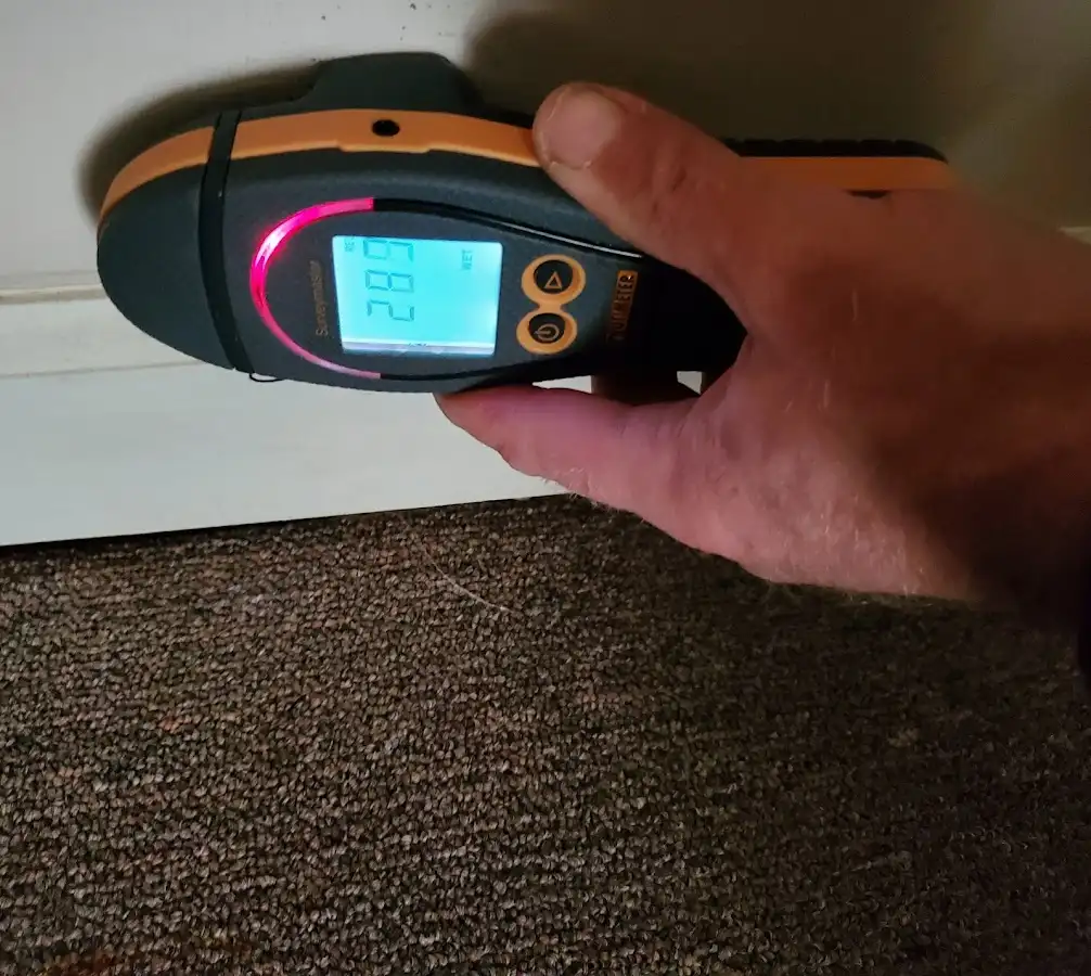Moisture detection at baseboard during Sewage Cleanup & Sanitation in Wall